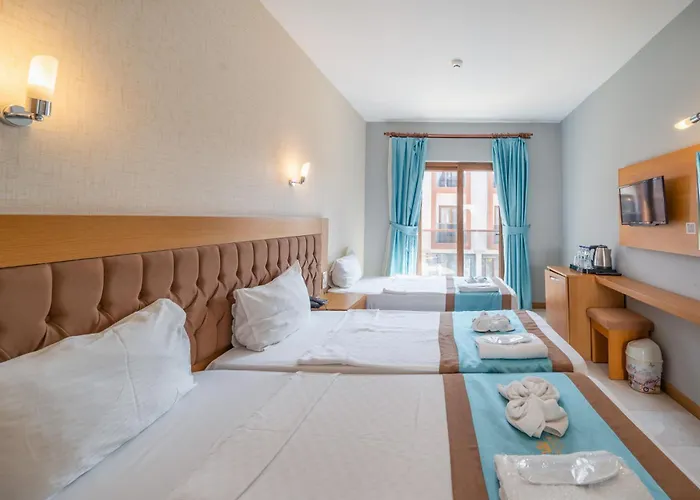 Majeste Bodrum 酒店 4*
